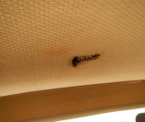 DSCN0018_zpsabykgwlj