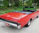 1965-gto-convertible-red-066