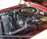 DSCN7738