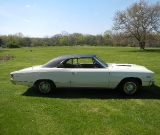 1967-chevelle-biro-031