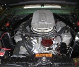 mustanggt500-1