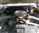 Ram Rod  (17)