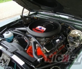 1969-berger-rs-copo-015