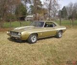yenkocamaro2-10
