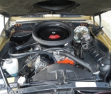 DSCN6342