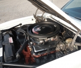 dscn2170