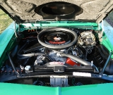 1969-rally-green-yenko-tribute-238