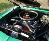 1969-rally-green-yenko-tribute-239