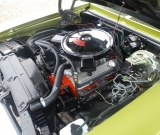 DSCN4577
