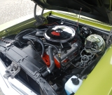 DSCN4578