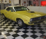 5_cars_014
