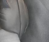 DSCN6873