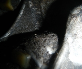 DSCN7196