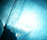 DSCN7215