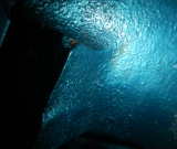 DSCN7216