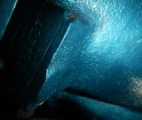 DSCN7219
