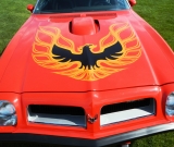 1974-pontiac-trans-am-super-duty-455-032