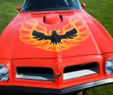 1974-pontiac-trans-am-super-duty-455-033