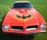 1974-pontiac-trans-am-super-duty-455-035