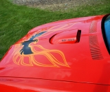 1974-pontiac-trans-am-super-duty-455-079