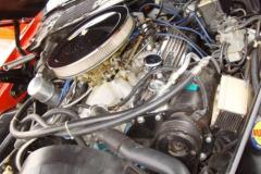 2rat-bird-motion-trans-am-005