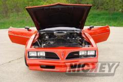 2rat-bird-motion-trans-am-010