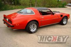 2rat-bird-motion-trans-am-011