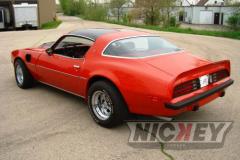 2rat-bird-motion-trans-am-019