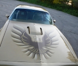 1978-solar-gold-trans-am-4-speed-003