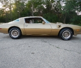 1978-solar-gold-trans-am-4-speed-010