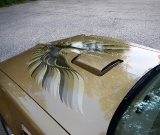 1978-solar-gold-trans-am-4-speed-029