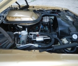 1978-solar-gold-trans-am-4-speed-043