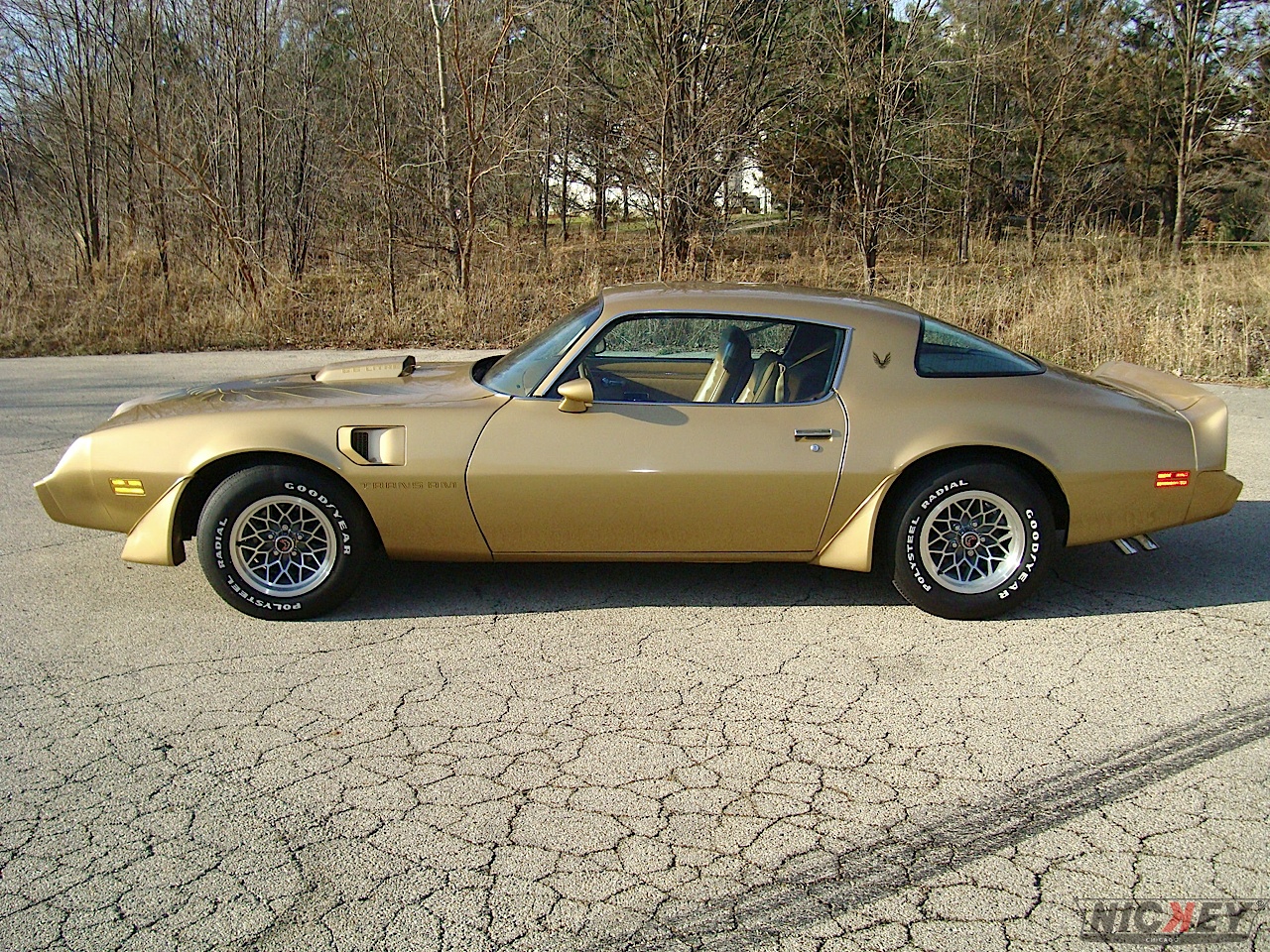 1979 Gold Trans Am