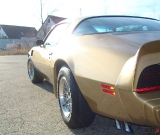 1979-trans-am-gold-edition-robert-005