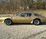 1979-trans-am-gold-edition-robert-006