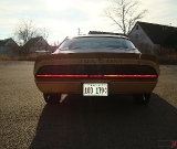 1979-trans-am-gold-edition-robert-007