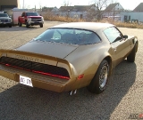 1979-trans-am-gold-edition-robert-008