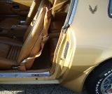 1979-trans-am-gold-edition-robert-016
