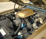 1979-trans-am-gold-edition-robert-017