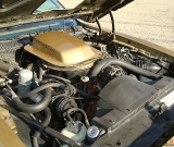 1979-trans-am-gold-edition-robert-018