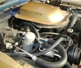 1979-trans-am-gold-edition-robert-036