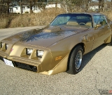 1979-trans-am-gold-edition-robert-037