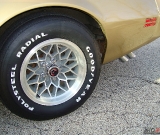 1979-trans-am-gold-edition-robert-038