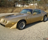 1979-trans-am-gold-edition-robert-041