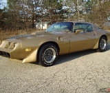 1979-trans-am-gold-edition-robert-042