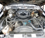1981-black-silver-z28-061