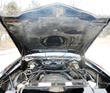 1981-black-silver-z28-062