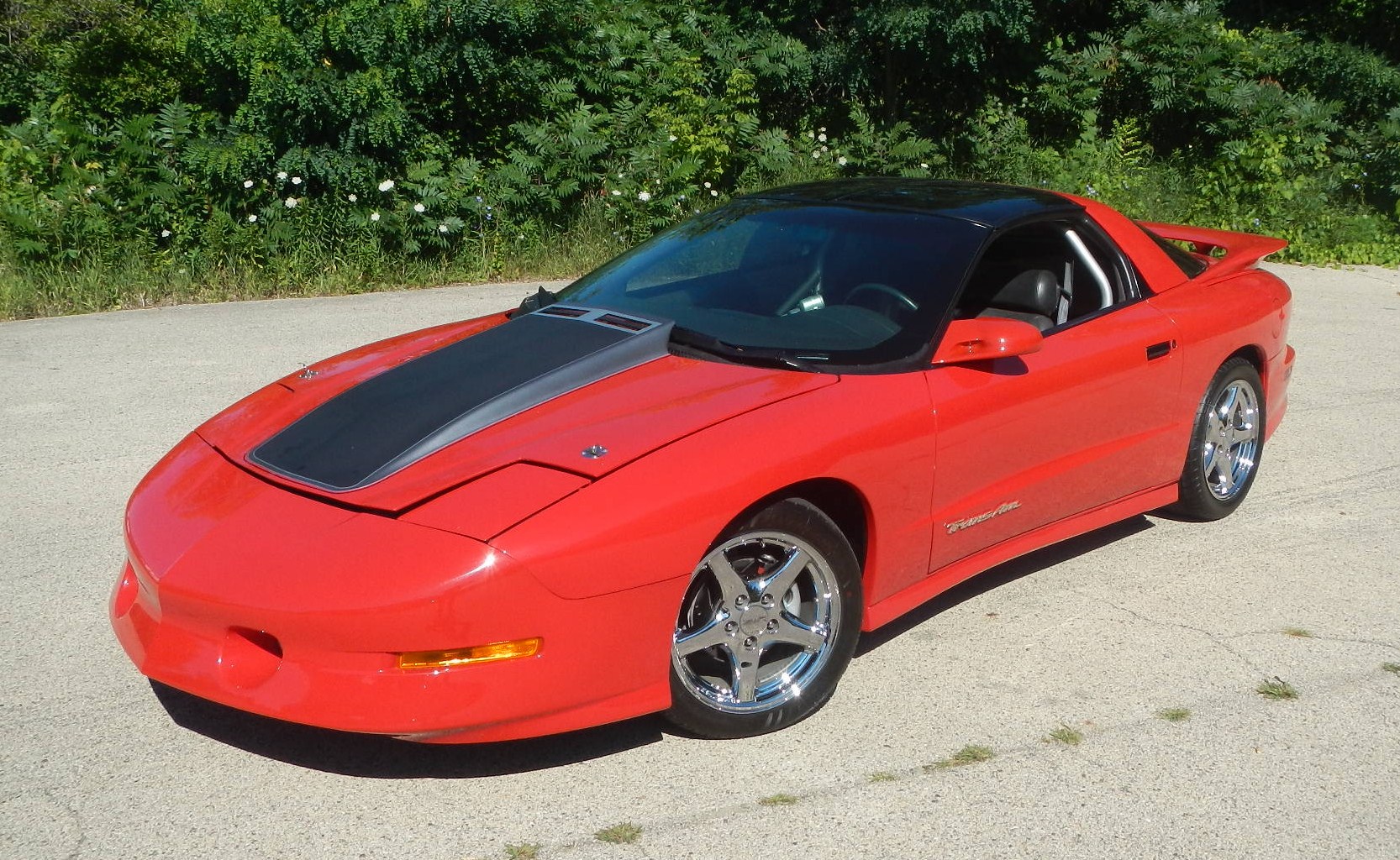 1995 Trans AM