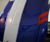 dsc00010-vi-1