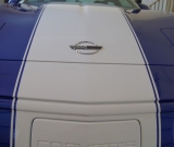 dsc00010-vi